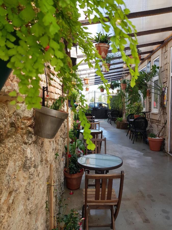 Garden Place Alojamento Local Viseu Dış mekan fotoğraf